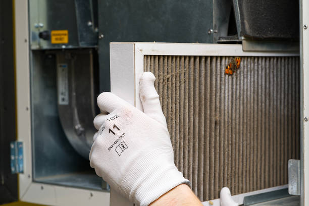 Best Best Air Duct Cleaning Company  in Harrogate, TN